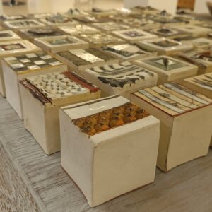 Hennie Meyer Ceramic Blocks